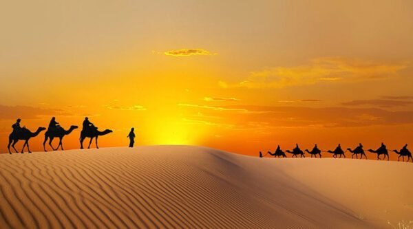 Safari Abu Dhabi