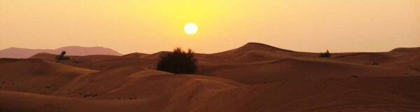 travel agency in dubai
